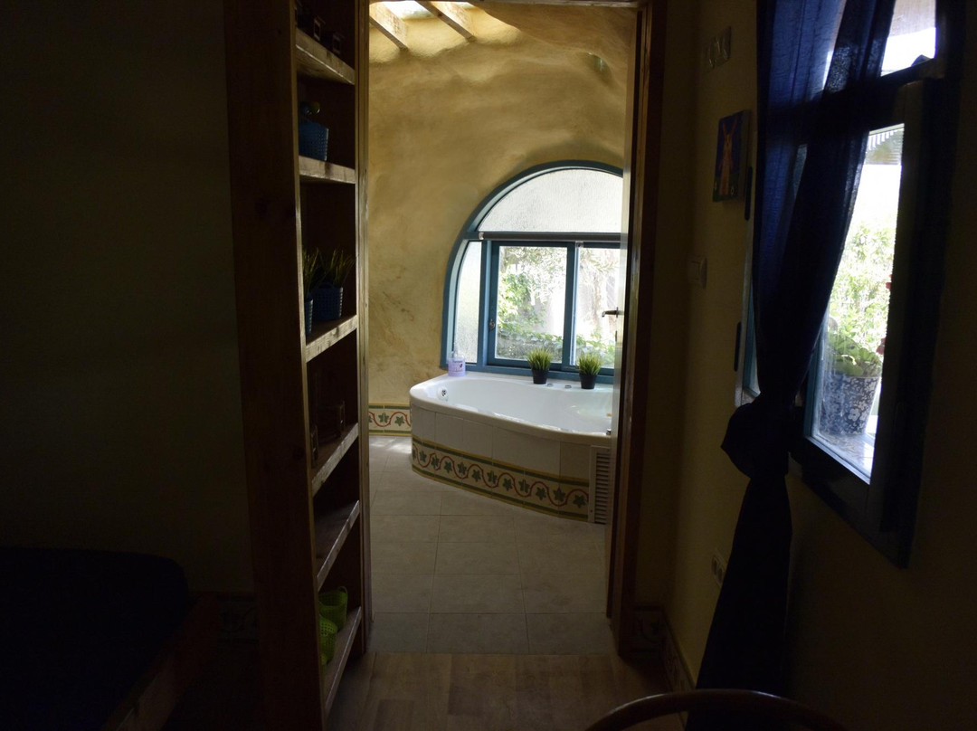 Dutch Farm Israel主图