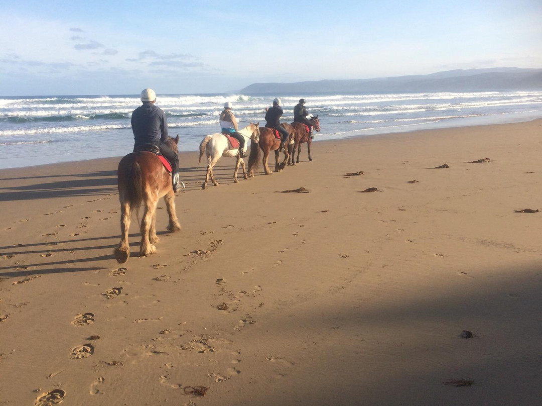 Blazing Saddles-Aireys Inlet必去景点