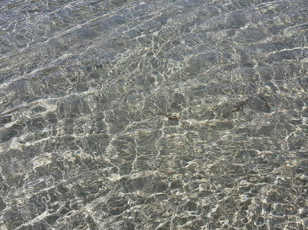 Spiaggia Della Speranza - Porto Poglina-阿尔盖罗必去景点