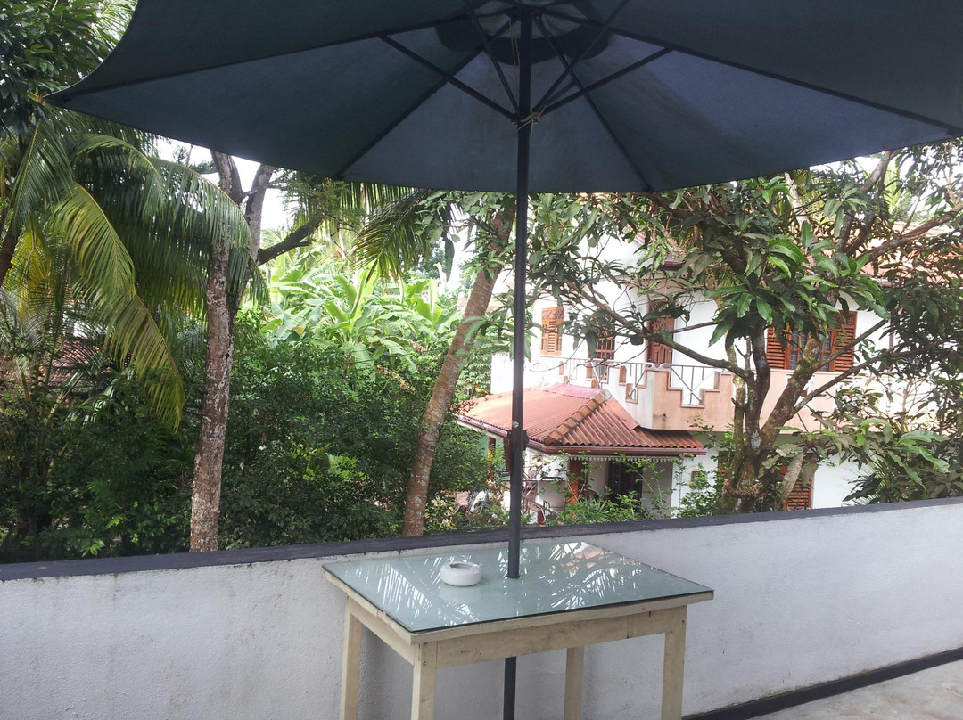 Tropical Tree Villa Galle主图