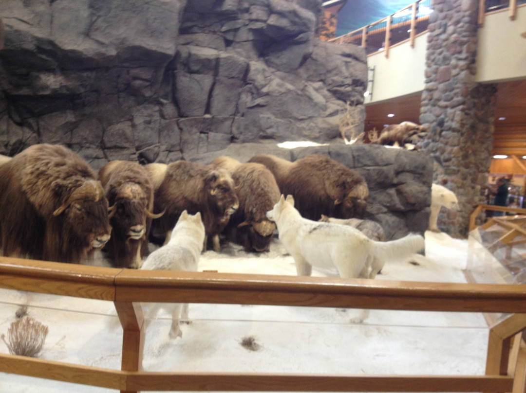 Cabela's景点图片