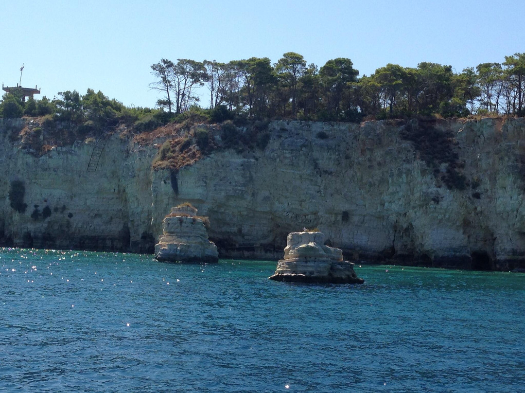 Cretan Daily Cruises - Souda Bay景点图片