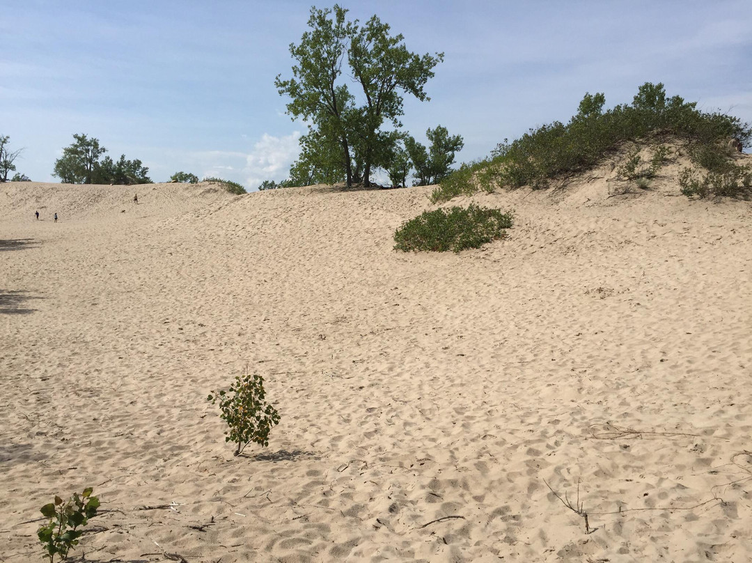 Dunes Beach景点图片