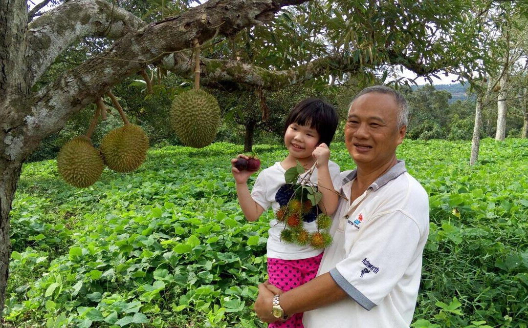 Karak Organic Durian Farm-加叻必去景点