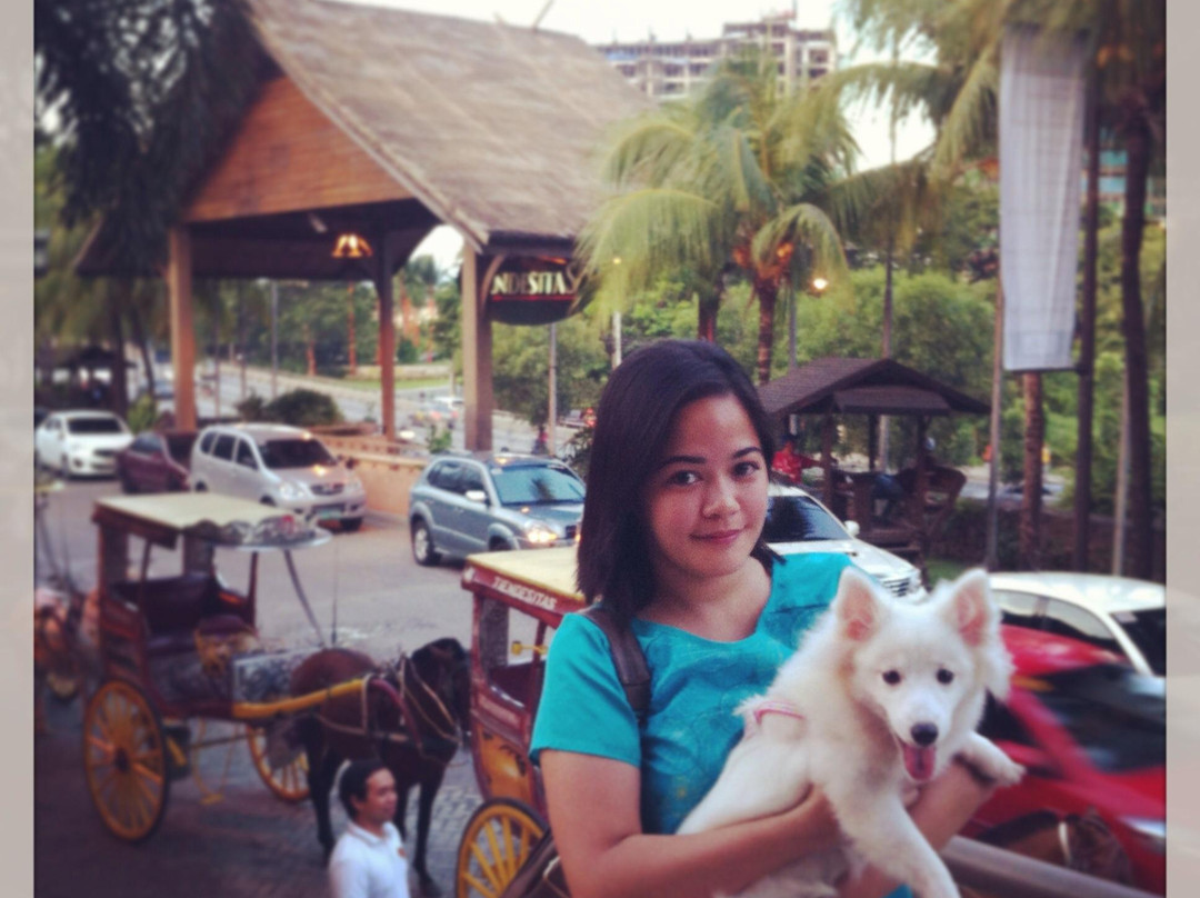 Tiendesitas-奎松市必去景点