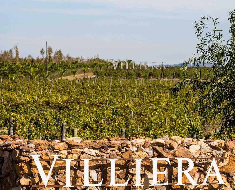 Villiera Wines景点图片