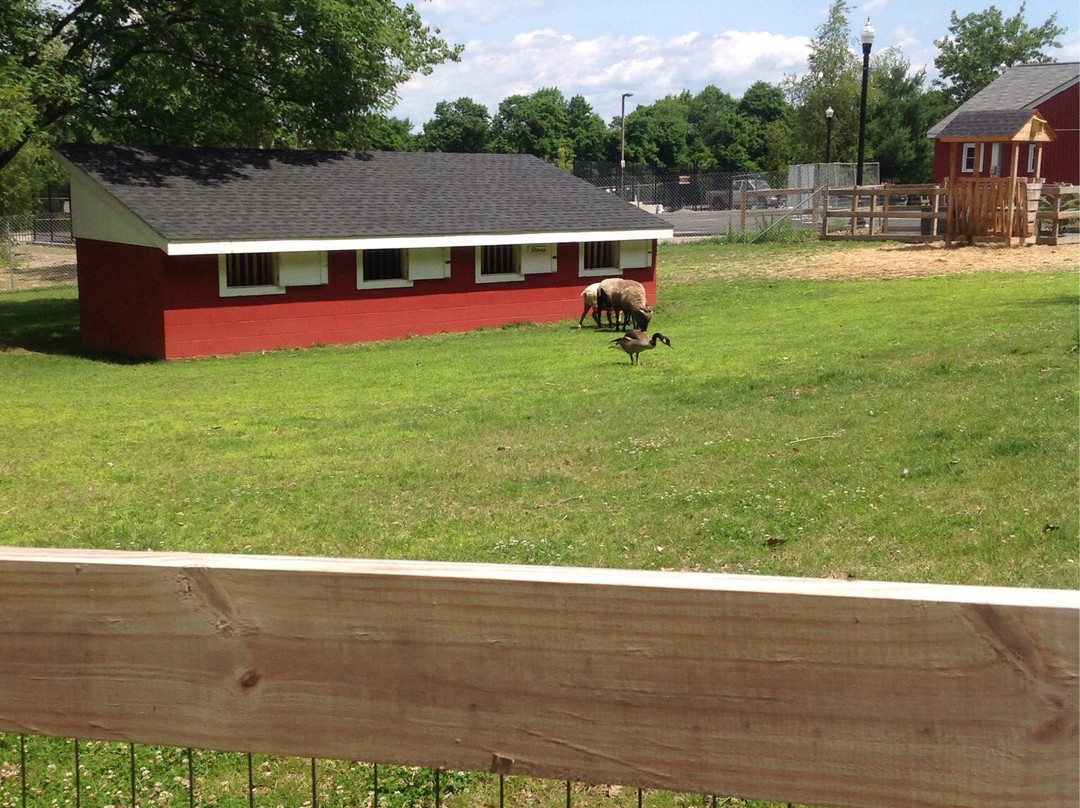 Green Hill Park Farm-伍斯特必去景点