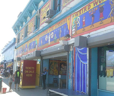 Sideshows by the Seashore-布鲁克林必去景点