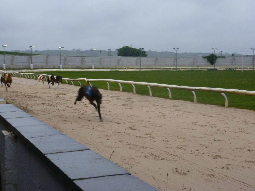 Drumbo Park Greyhound Stadium-利斯本必去景点