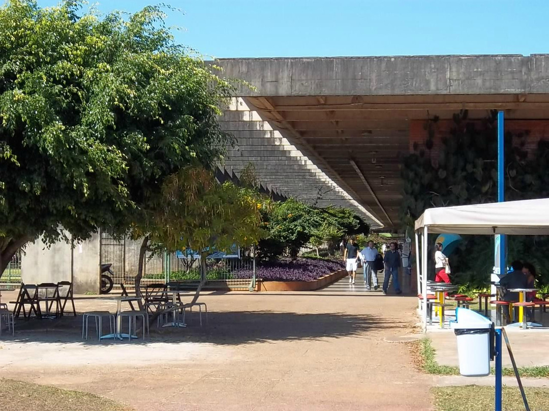 Herbário da Universidade de Brasília-巴西利亚必去景点