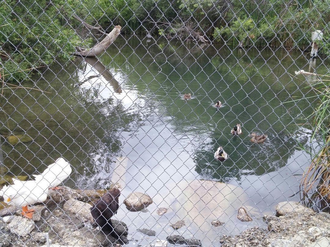 Fillmore Fish Hatchery-Fillmore必去景点