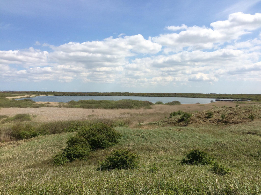 Natuurgebied Zwanenwater景点图片