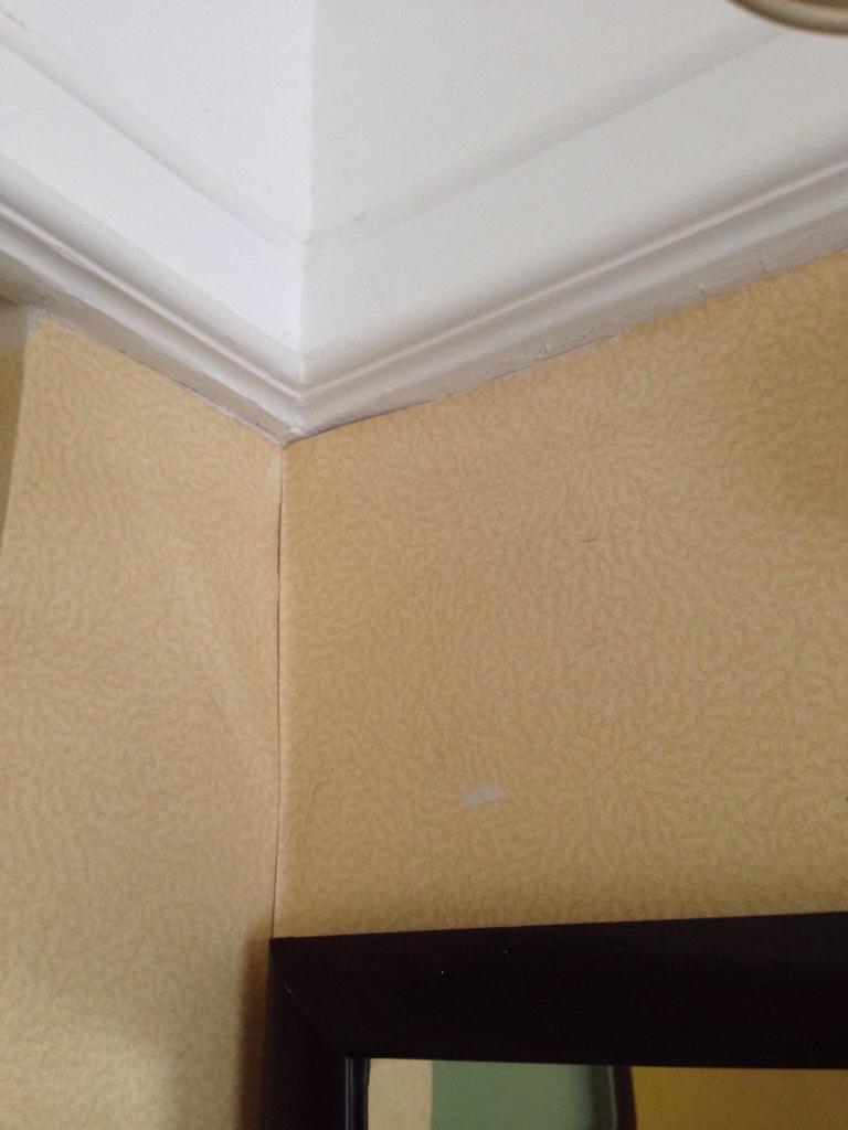 上海西郊宾馆西郊公寓酒店-客卧