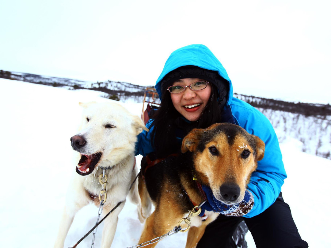 Alaskan Husky Tours Day Tours景点图片