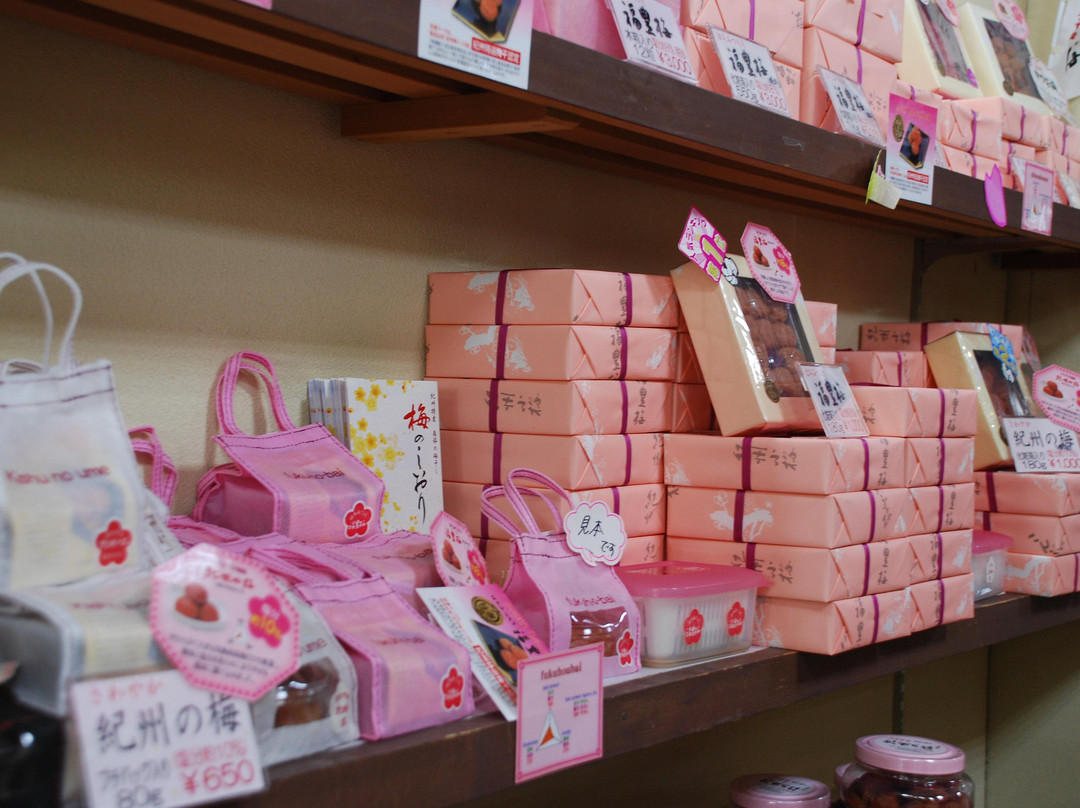 Wakayama City Tourist Souvenir Center-和歌山市必去景点