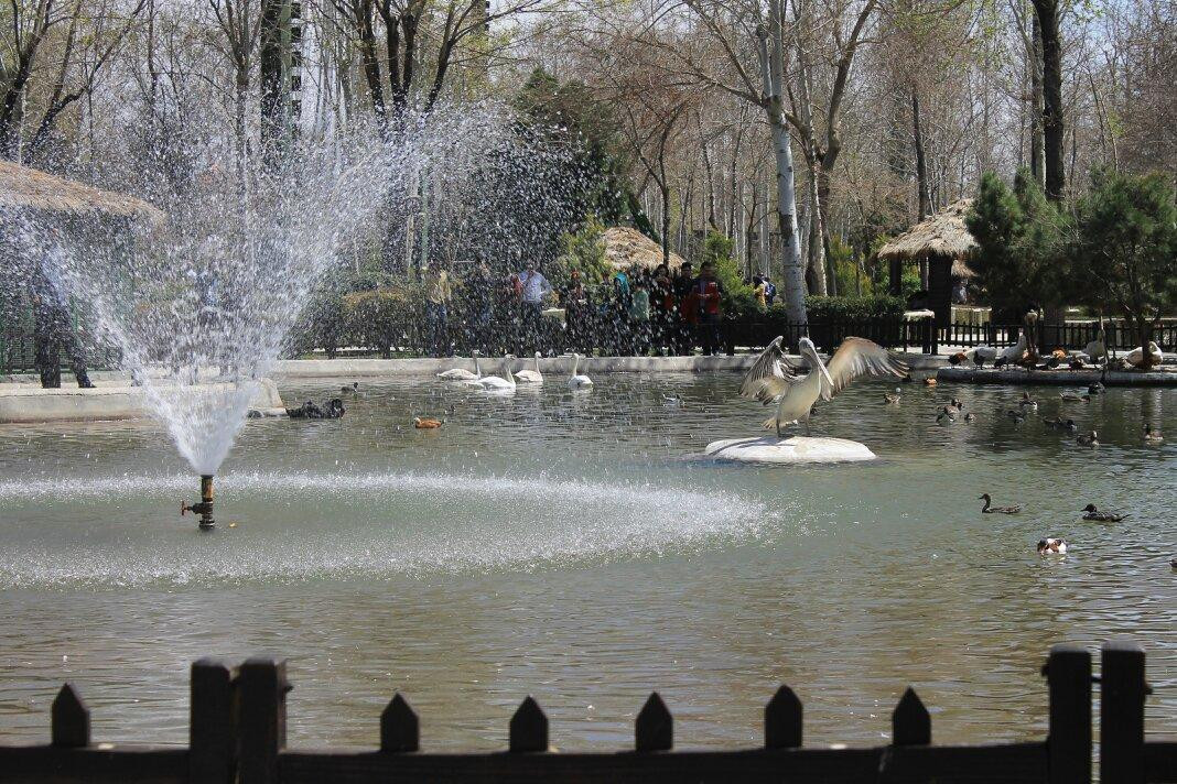 Birds Garden景点图片