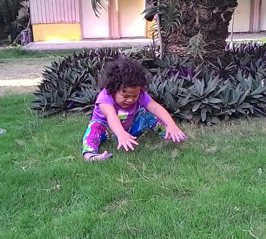 Pem's Pension House and Restaurant主图