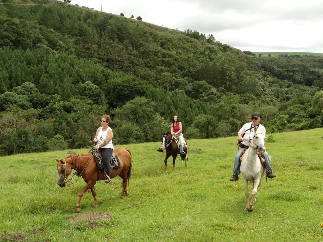 Adventurous Friends-圣保罗必去景点