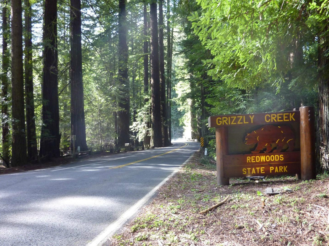 Grizzly Creek Redwoods State Park-Carlotta必去景点