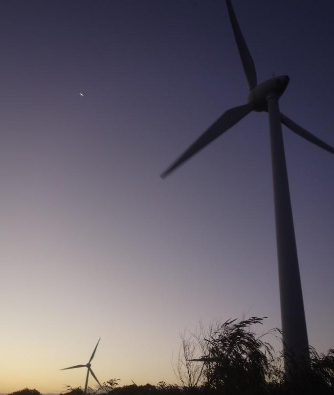 Albany Wind Farm-奥尔巴尼必去景点