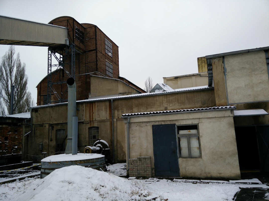 Brikettfabrik Louise-Domsdorf必去景点