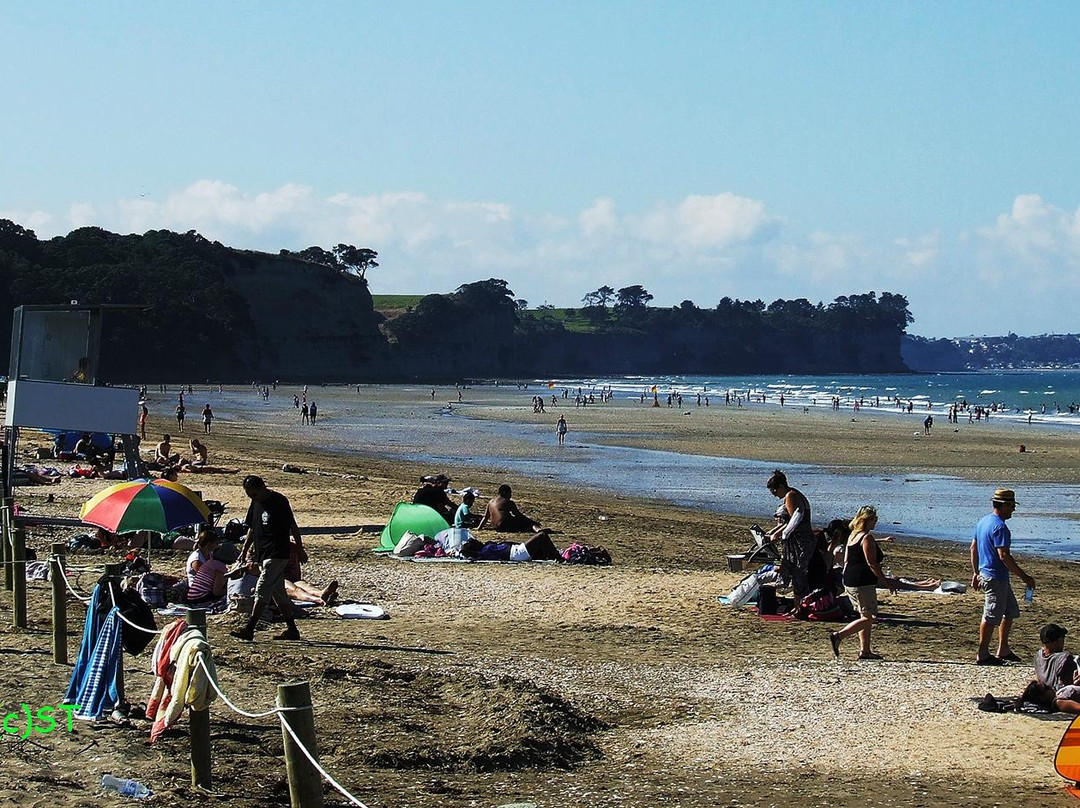 Long Bay Regional Park-Long Bay必去景点