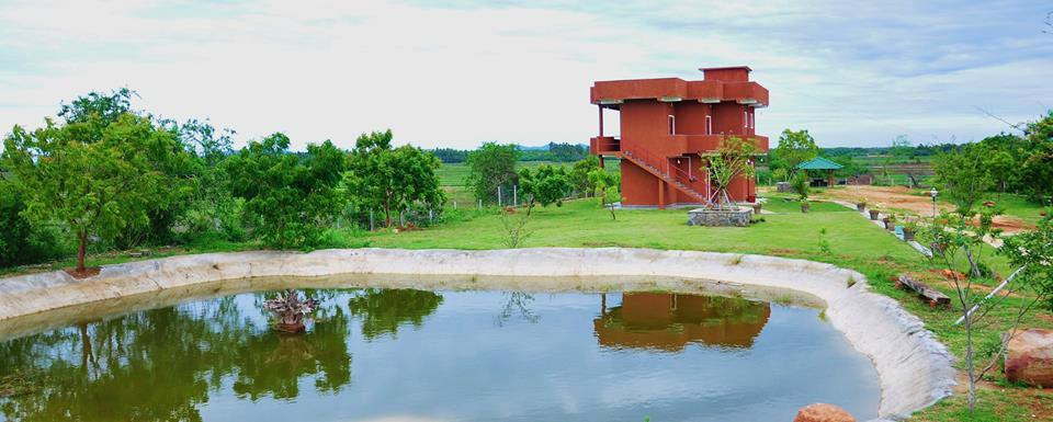Crazy Peacock Holiday Resort-官方
