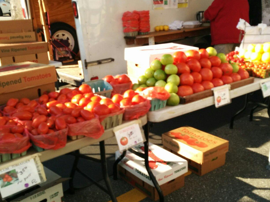 Venice Florida Farmers Market-威尼斯必去景点