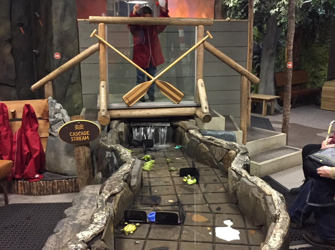 Children's Museum & Theatre of Maine景点图片