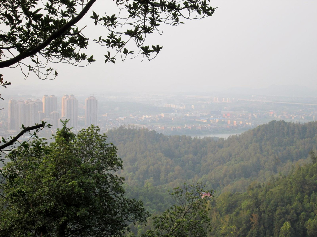 云碧峰森林公园-上饶市必去景点