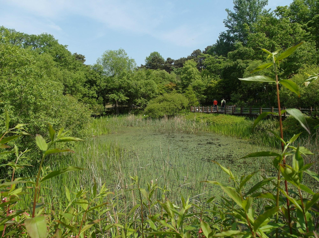 Mulhyanggi Arboretum-乌山市必去景点