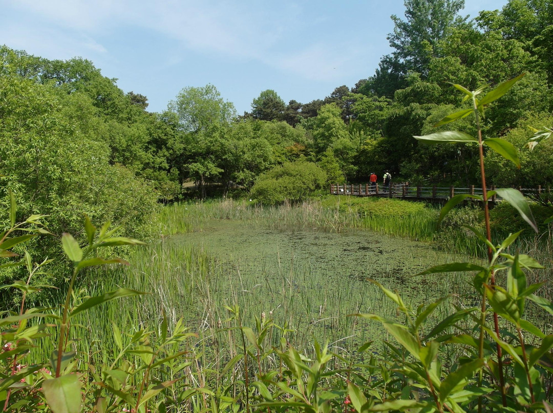 Mulhyanggi Arboretum景点图片