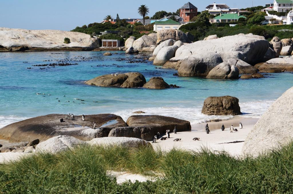 Daytrippers-开普敦中心区必去景点