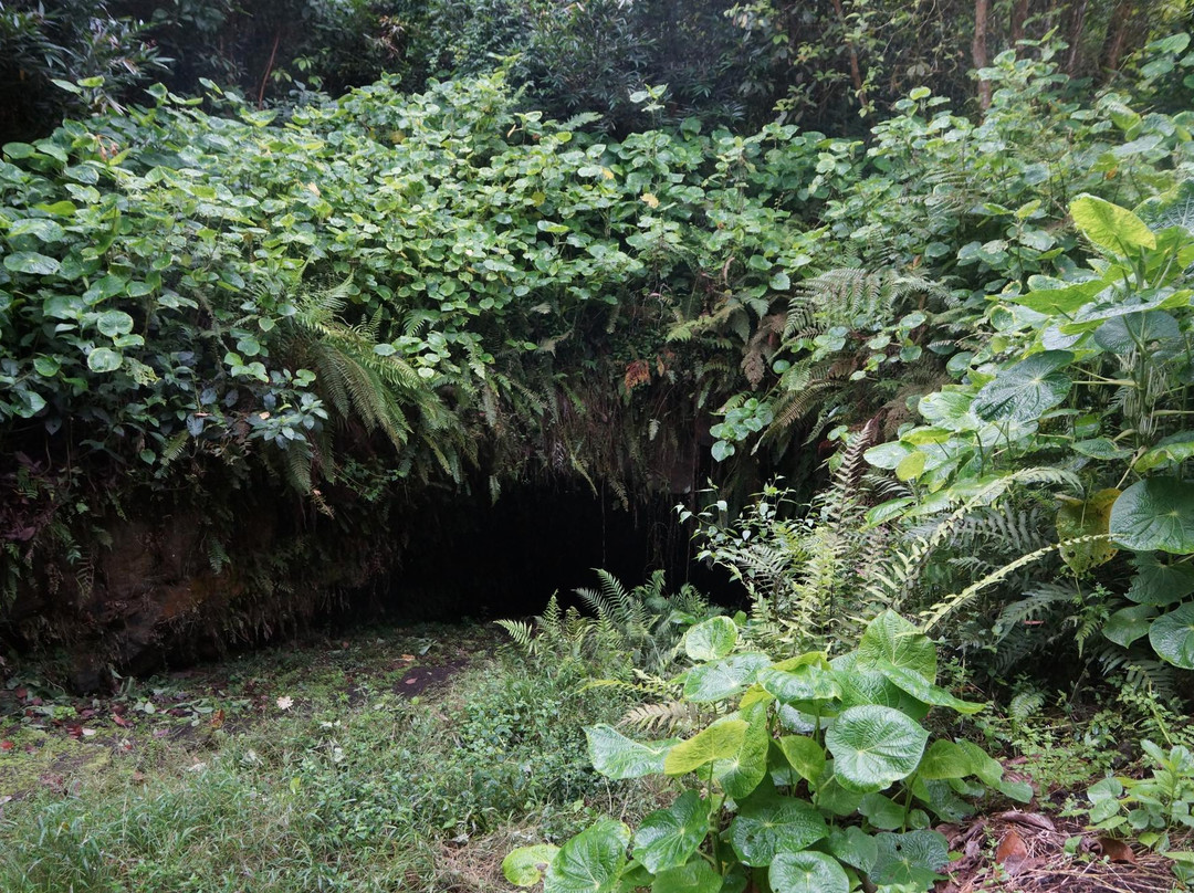 Cueva de Sucre-维里亚米尔港必去景点