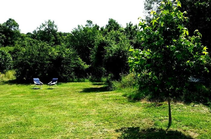 La Casa di Frida主图