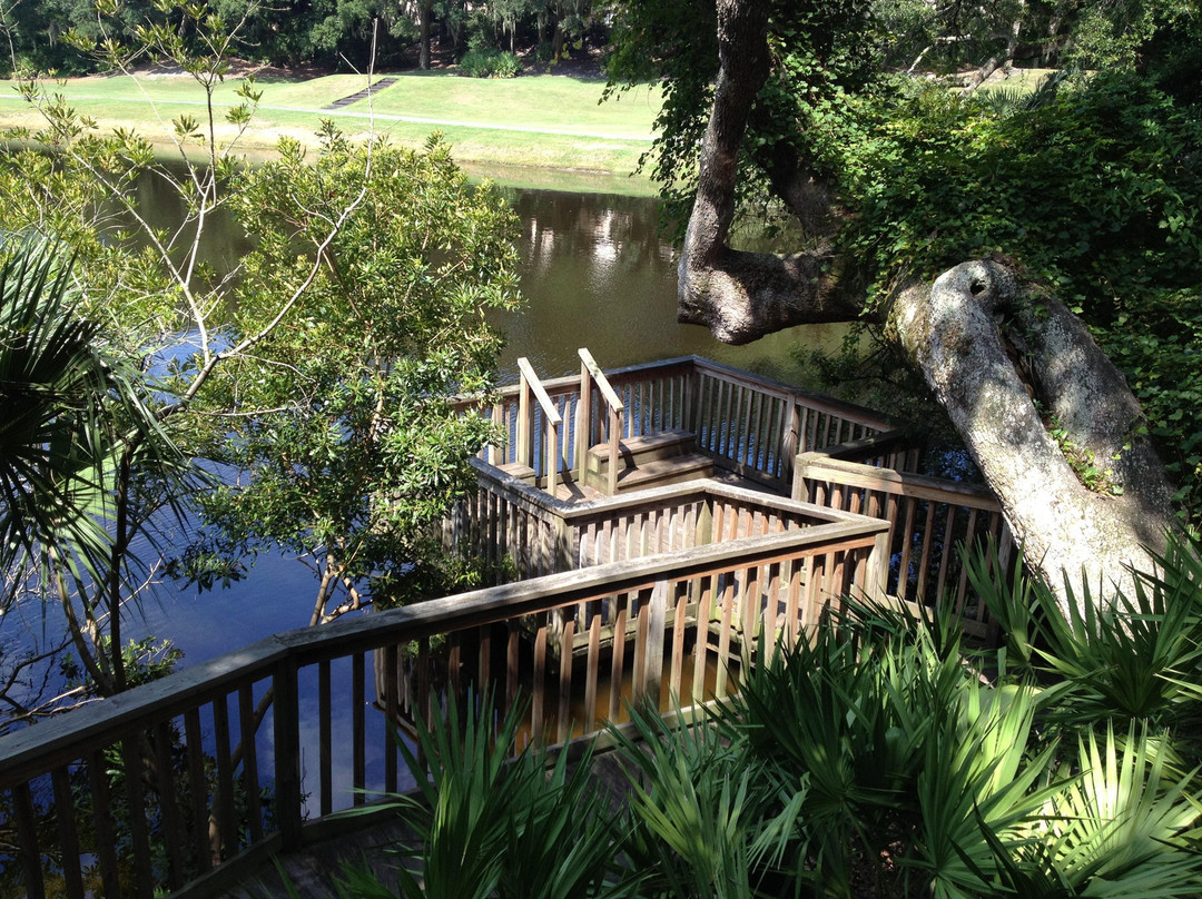 Amelia Island Nature Center-阿米莉亚岛必去景点