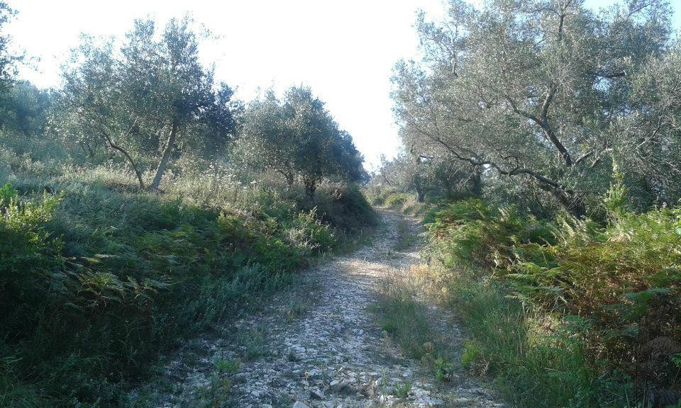 Arillas Trail