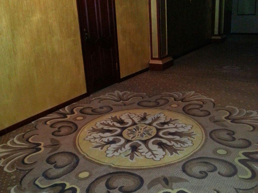 Altyn Adam Hotel主图