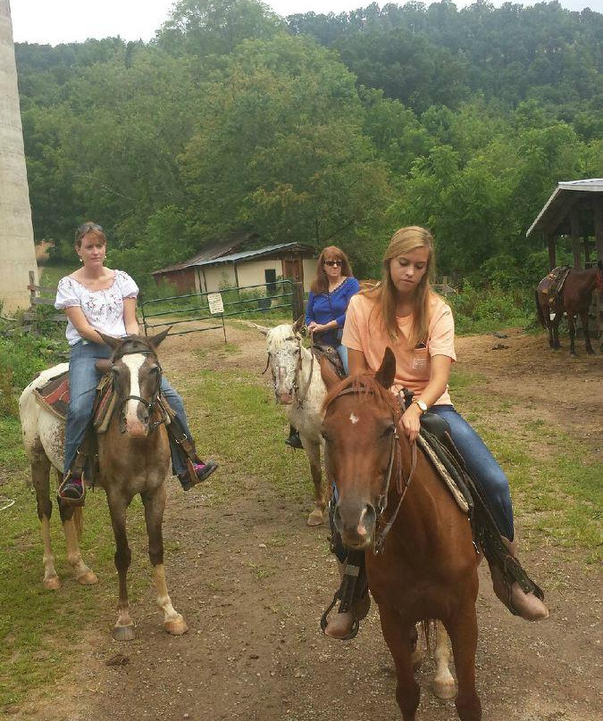 Queen's Farm Stables-韦恩斯维尔必去景点