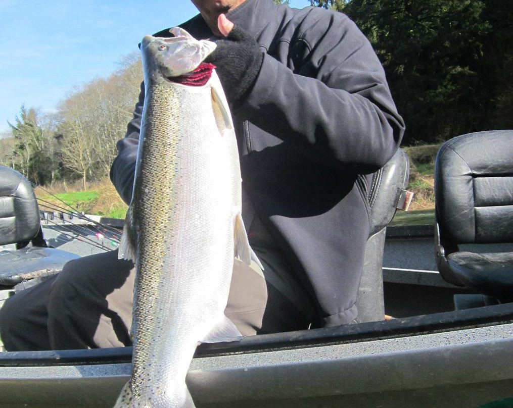 Fishhouse Outdoor Company - Private Day Tours-Hebo必去景点