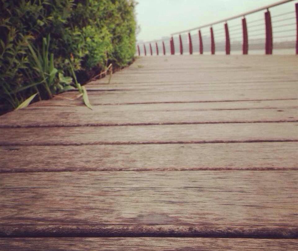 龙湖风景区-蚌埠市必去景点