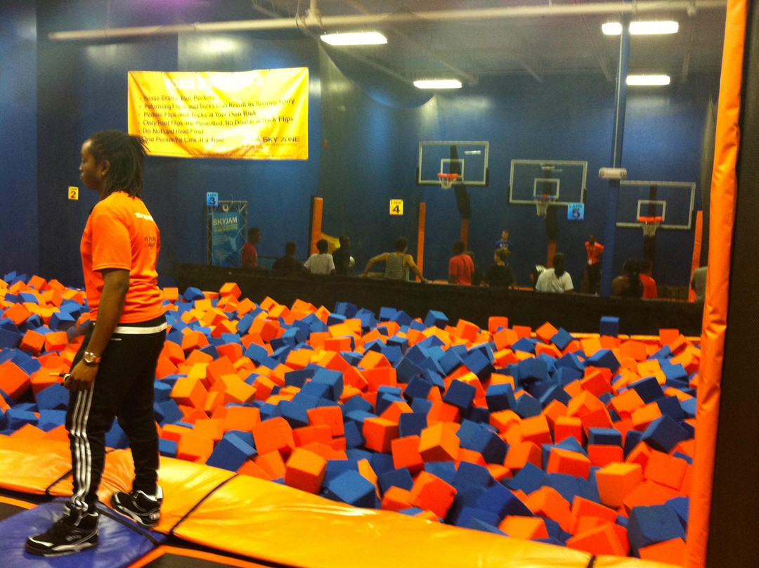 Sky Zone景点图片