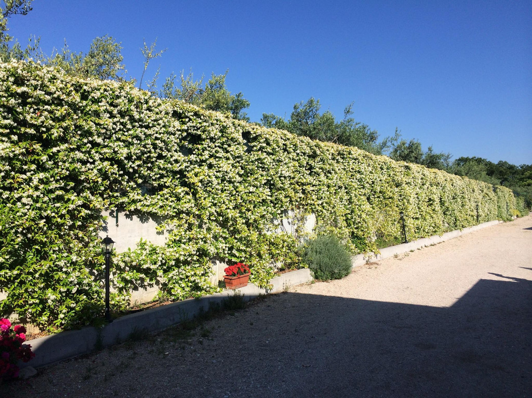 Agriturismo Il Grappolo