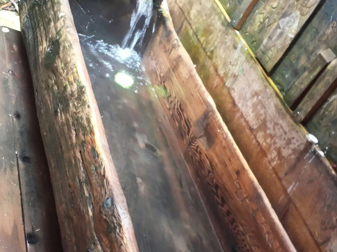 Bagby Hot Springs-Estacada必去景点