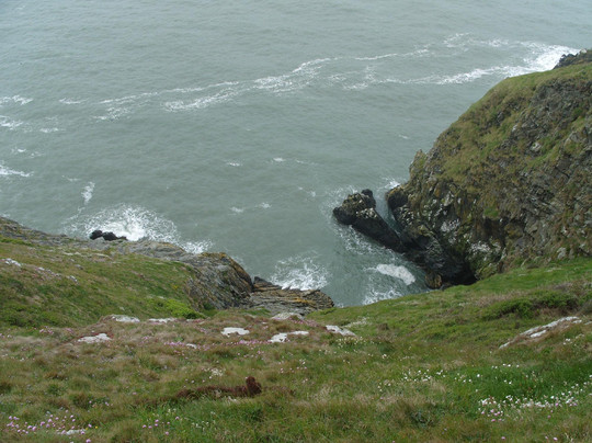 SANDEMANs NEW Europe - Dublin-都柏林必去景点