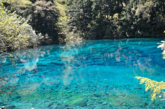 莲台彩池景点图片