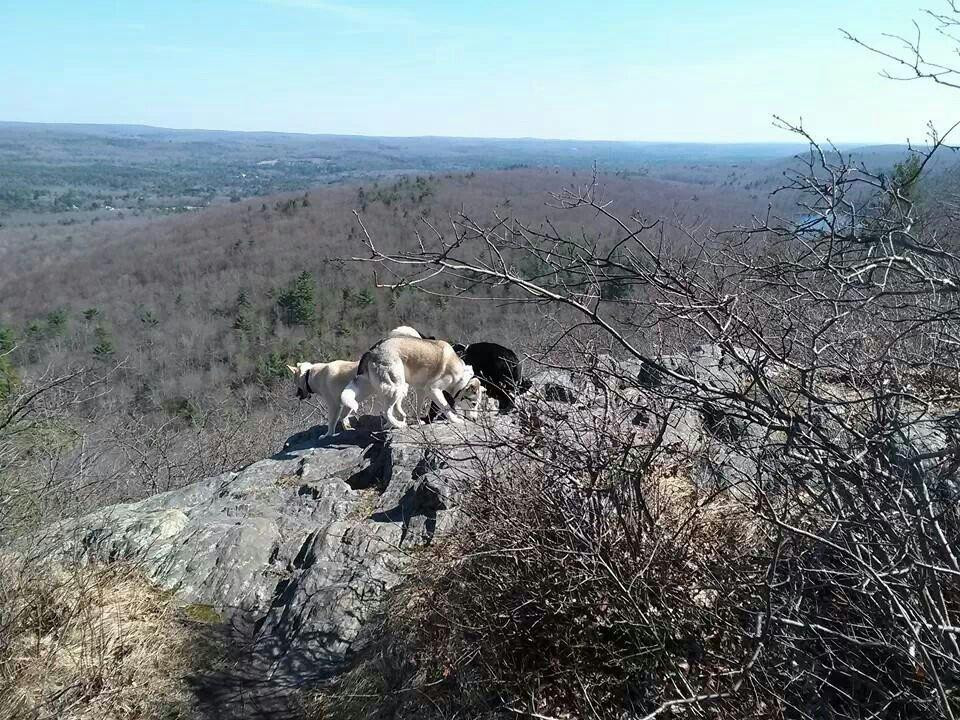 Peaked Mountain-Monson必去景点