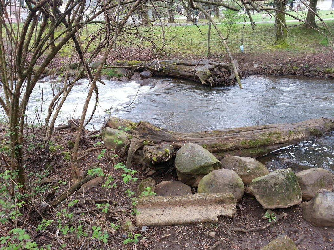 City Park (Million Smiles Playground Park)-Lynden必去景点