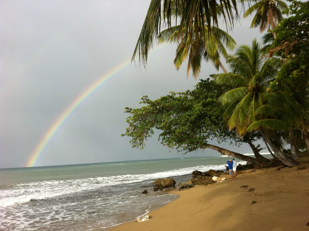 Rincon Marina-吕康必去景点