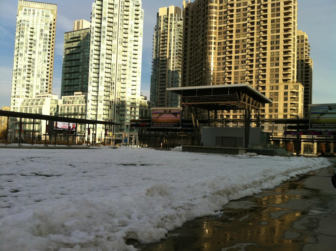 Celebration Square-米西索加必去景点